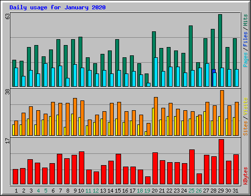 Daily usage for January 2020