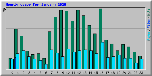 Hourly usage for January 2020