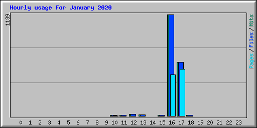 Hourly usage for January 2020